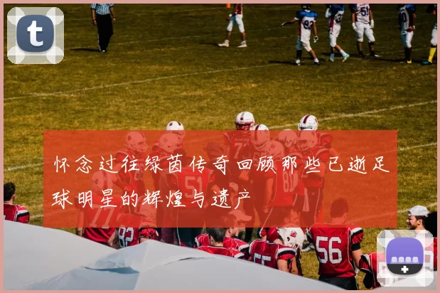 怀念过往绿茵传奇回顾那些已逝足球明星的辉煌与遗产