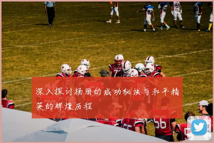 深入探讨杨丽的成功秘诀与和平精英的辉煌历程