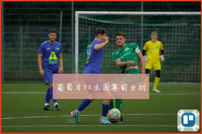 葡萄牙vs法国赛前分析