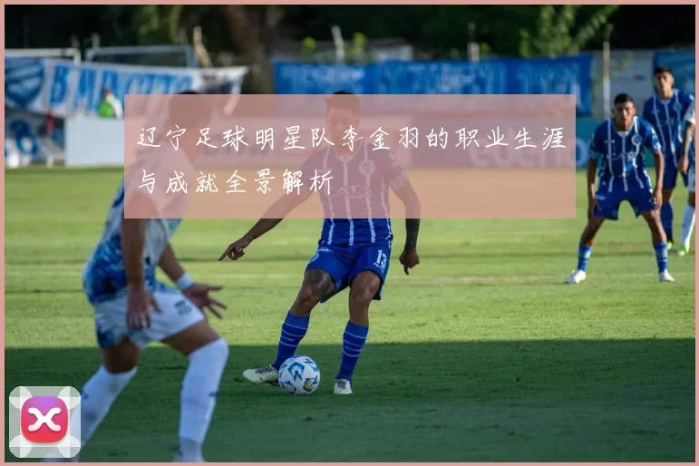 辽宁足球明星队李金羽的职业生涯与成就全景解析