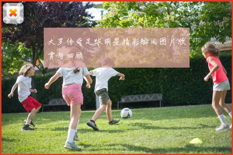 大罗传奇足球明星精彩瞬间图片欣赏与回顾