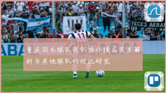 重庆羽毛球队团队协作模式深度解析与其他球队的对比研究
