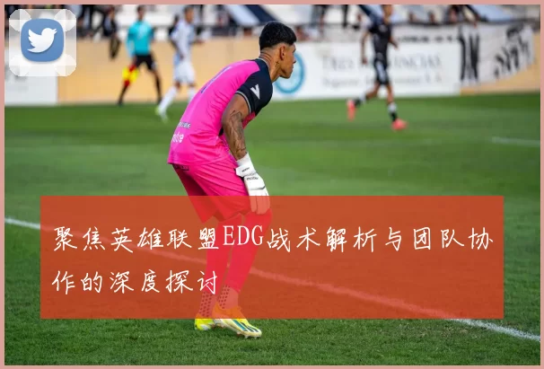 聚焦英雄联盟EDG战术解析与团队协作的深度探讨