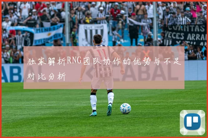 独家解析RNG团队协作的优势与不足对比分析