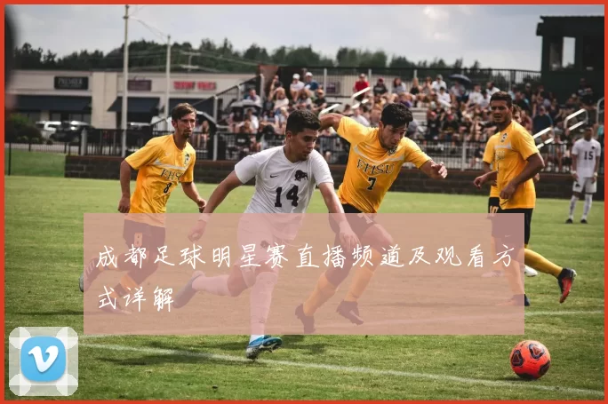 成都足球明星赛直播频道及观看方式详解