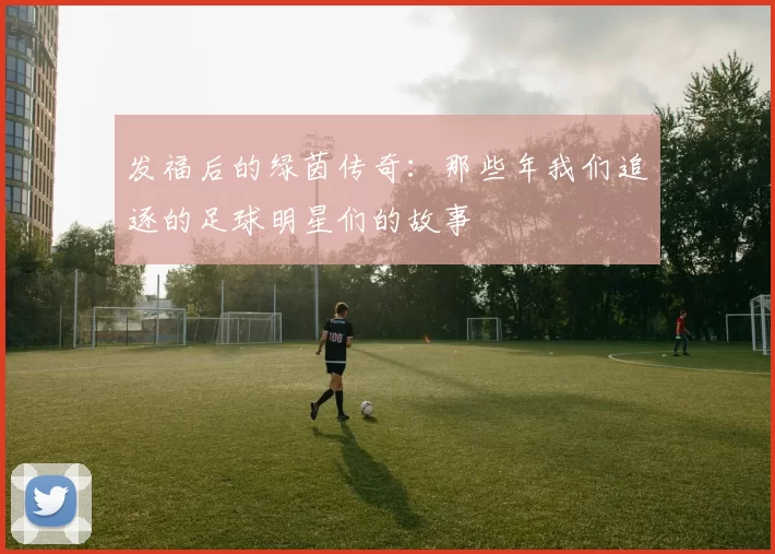 发福后的绿茵传奇：那些年我们追逐的足球明星们的故事