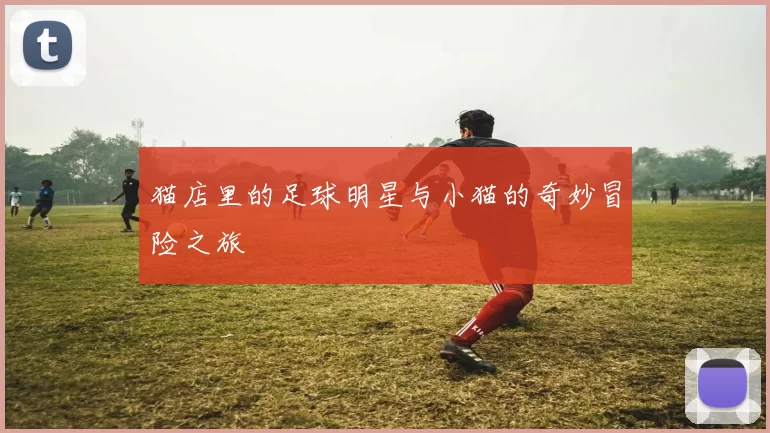猫店里的足球明星与小猫的奇妙冒险之旅