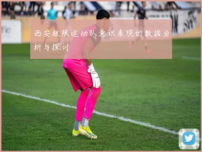 西安极限运动队意识表现的数据分析与探讨