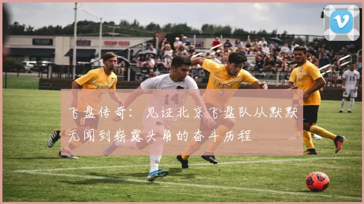飞盘传奇：见证北京飞盘队从默默无闻到崭露头角的奋斗历程