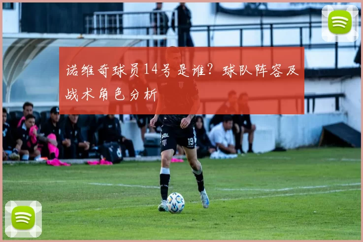 诺维奇球员14号是谁？球队阵容及战术角色分析