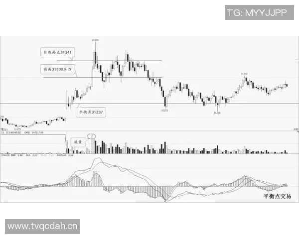 杭州飞盘队与广州飞盘队赛后复盘分析与经验总结 杭州飞盘队与广州飞盘队赛后复盘分析与经验总结