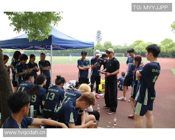 深入分析杭州飞盘队的阵地战战术与策略解析