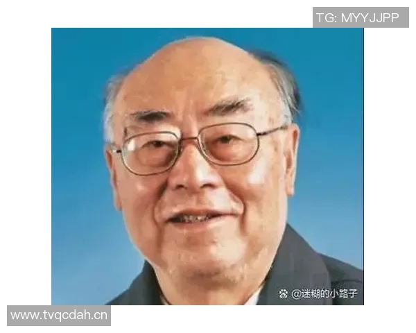 深度对话赵芳分享她的排球人生与奋斗历程的精彩故事