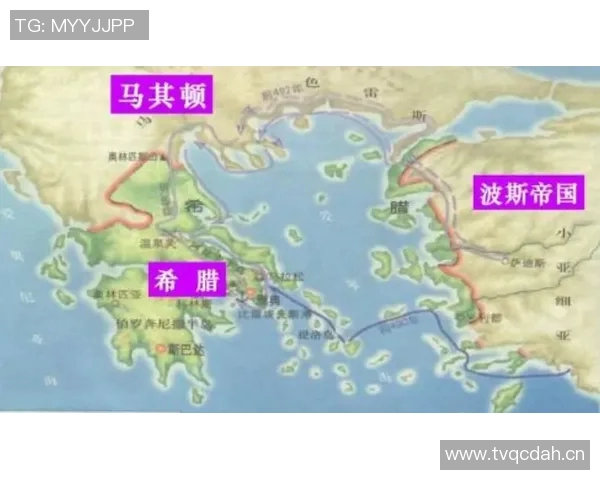 网球战术解析：上海网球队如何构建整体压制体系与战术优势