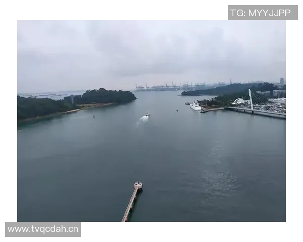 越南与马来西亚精彩对决直播时间定于12月11日敬请关注 越南与马来西亚精彩对决直播时间定于12月11日敬请关注